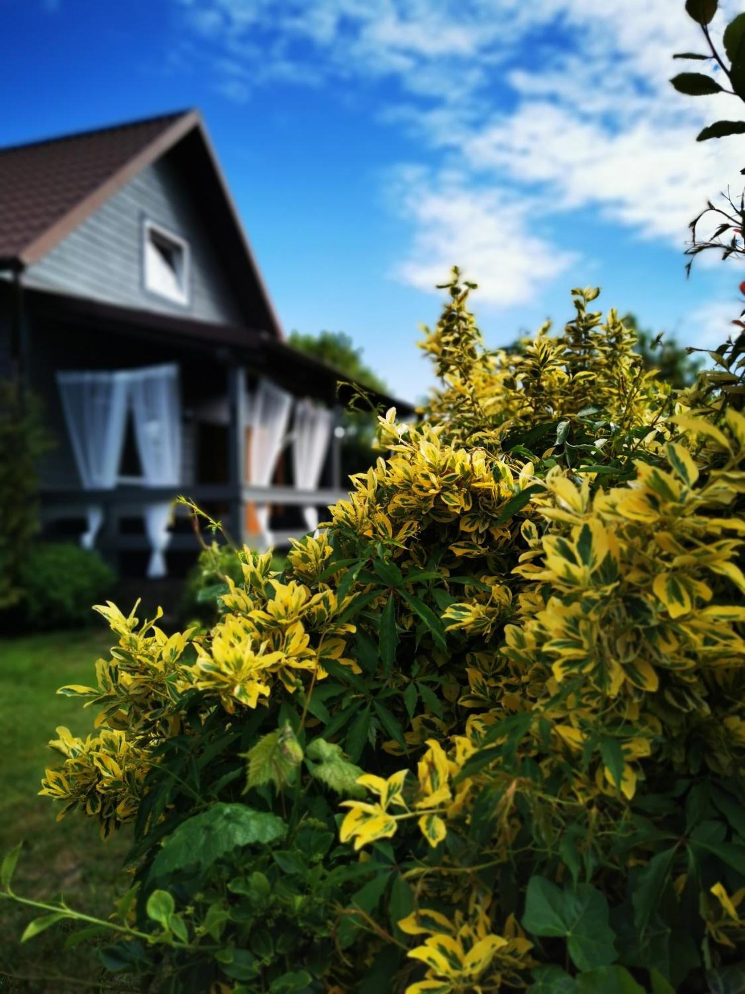 Stilove Wydmy Sasino Habitación foto